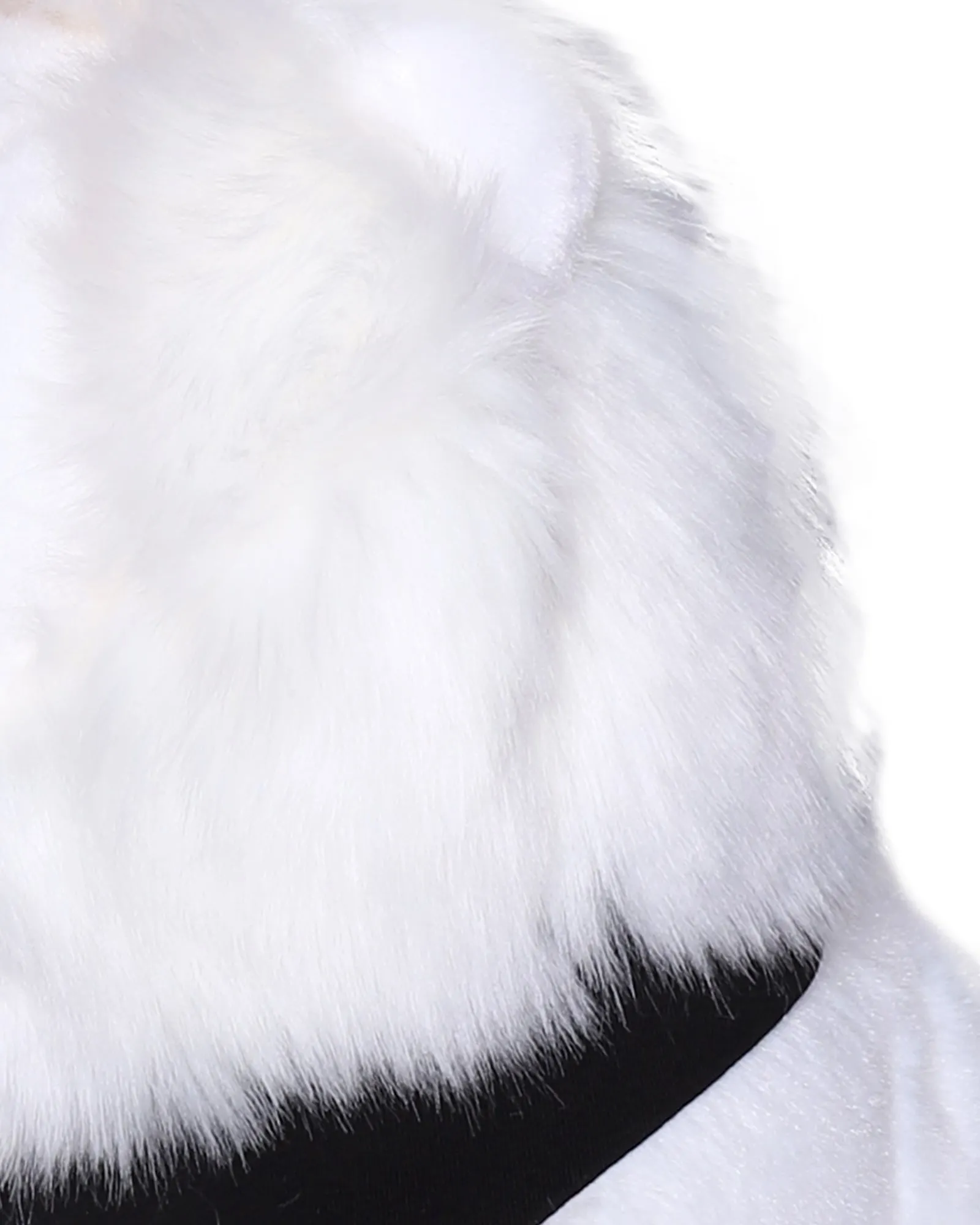Givenchy Kids Logo Detailed Lion Plush Toy