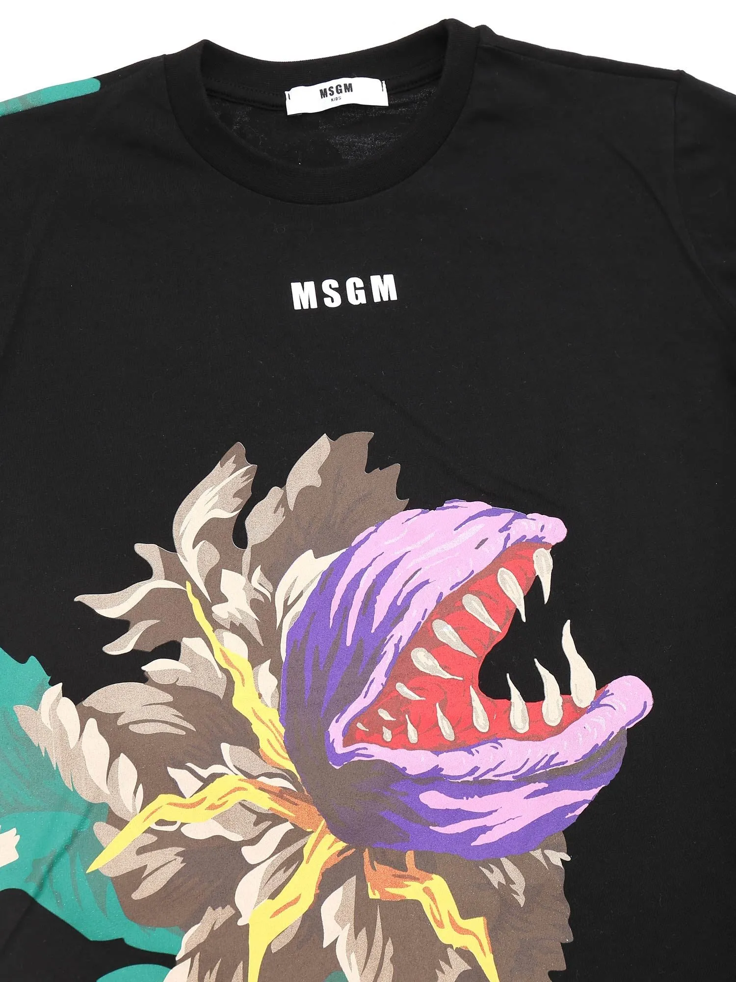 MSGM Kids Graphic Print Crewneck T-Shirt