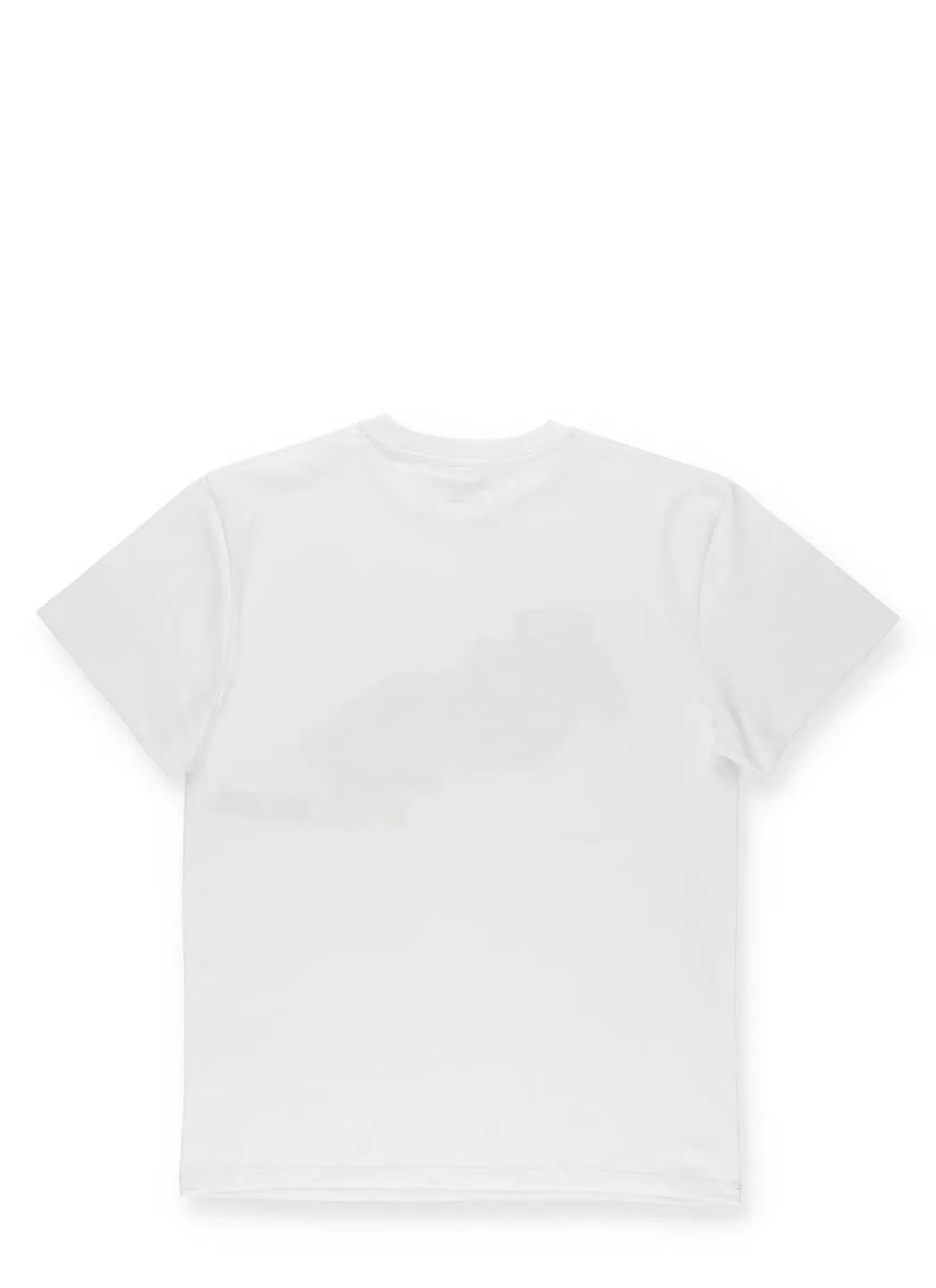 Stella McCartney Kids Roar Print Crewneck T-Shirt
